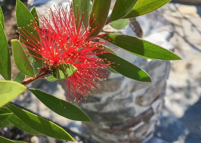 Villa Ihome Skála Kallirákhis